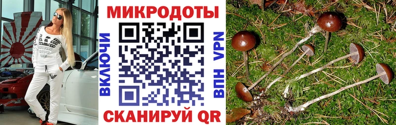 Галлюциногенные грибы MAGIC MUSHROOMS  Купить где  Нижний Тагил 
